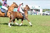 UKPA NC SAT_2413